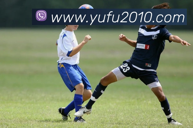 mksports体育平台生态图